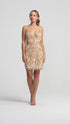 Deep Decollete Secret Mini Dress